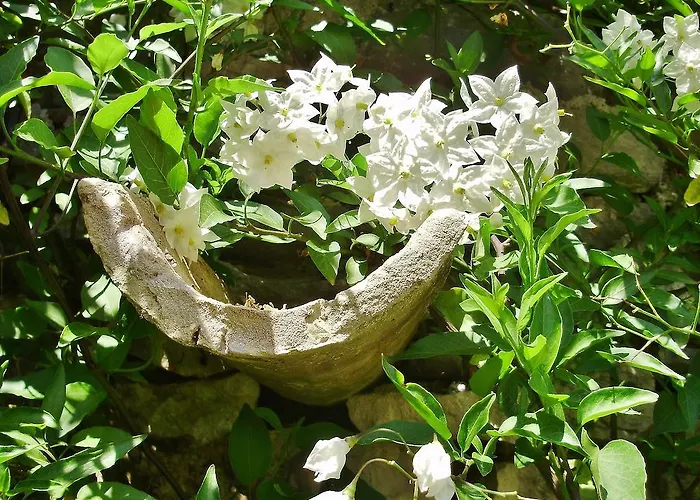 Ket 게스트하우스