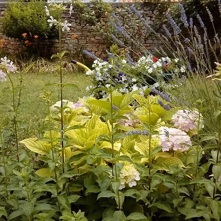 בית הארחה Ket